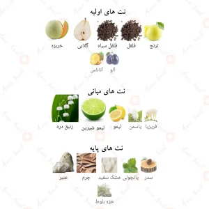 ادکلن لطافه شیخ الشیوخ مرکز Lattafa Sheikh Al Shuyukh Concentrated4