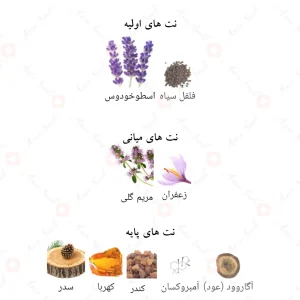 ادکلن لطافه شیخ شیوخ خصوصی Lattafa Sheikh Shuyukh Khusoosi4