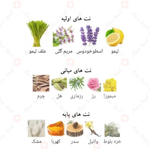ادکلن لطافه شیخ شیوخ فاینال ادیشن Lattafa Sheikh Shuyukh Final Edition4
