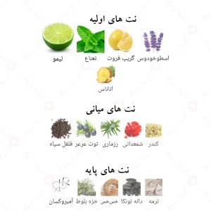 ادکلن لطافه ماهر لگاسی نقره ای Lattafa Maahir Legacy4