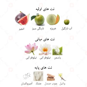 ادکلن لطافه میار نچرال اینتنس Lattafa Mayar Natural Intense4