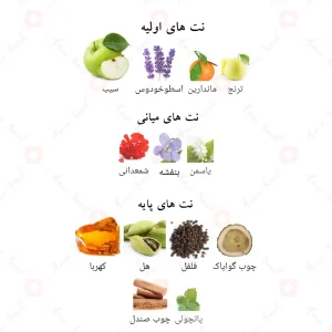 ادکلن لیدن الحمبرا Alhambra Leyden