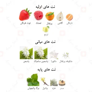 ادکلن مای پارتی الحمبرا my party Alhambra