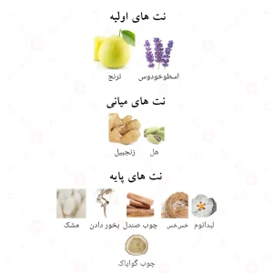ادکلن نامبر دو الحمبرا Alhambra NO. 2 MAN