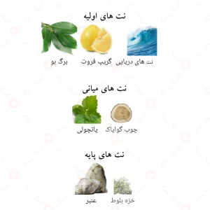 ادکلن نجده لطافه Najdia lattafa4