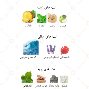 ادکلن نجدیا اینتنس لطافه Lattafa Najdia Intense4