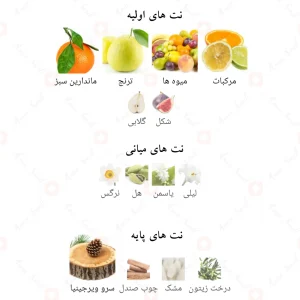 ادکلن ورسنچیا اسنس الحمبرا Versencia Essence Alhambra