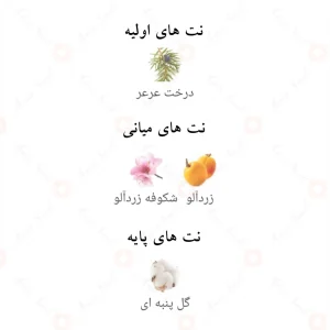 ادکلن ولوت پینک سکرت چیک الحمبرا Velvet Pink Secret Chic Alhambra
