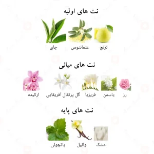 ادکلن ویکتوریا فلاور الحمبرا Alhambra Victoria Flower5