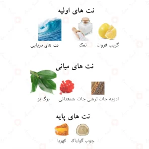 ادکلن ویکتوریوسو لجند الحمبرا Alhambra Victorioso