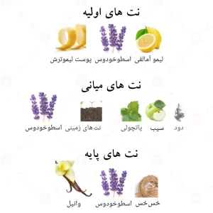 ادکلن پانتر پور هوم الحمبرا Panther Pour Homme Alhambra