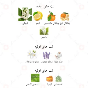 ادکلن پروتو نرولی الحمبرا Alhambra Porto Neroli