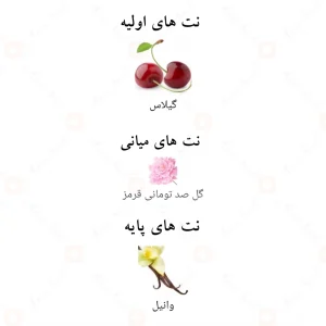 ادکلن پینک شیمر این اینتنس Alhambra Pink Shimmer Intense secret