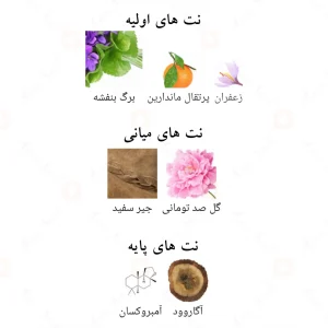 ادکلن پینک شیمر عود الحمبرا Alhambra Pink Shimmer Secret Oud