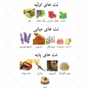 ادکلن یور تاچ اینتنس الحمبرا Your Touch Intense Alhambra