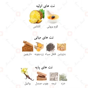 عطر ادکلن لطافه بدیع ال عود هانر اند گلوری Lattafa ade’e Al Oud Honor & Glory4