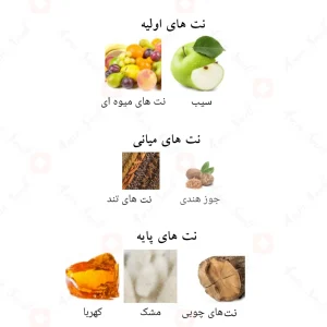 عطر ادکلن لطافه خلطات ال عربیا رویال دیلایت سیلور Lattafa Khaltaat Al Arabia Royal Delight4