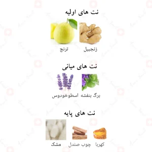 عطر ادکلن لطافه سقراط Lattafa Suqraat4