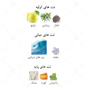 عطر ادکلن لطافه لیام بلو شاین Lattafa Liam Blue Shine4