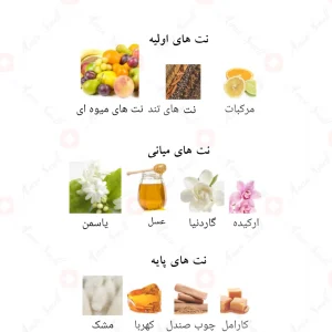 عطر ادکلن لطافه لیل ملکی Lattafa Lail Maleki4