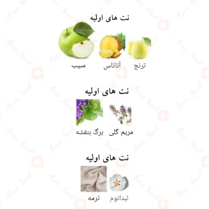 عطر ادکلن لطافه ملک ال طیور کانسنتریتد Lattafa Malik Al Tayoor Concentrated4