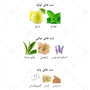 عطر لطافه آرت آف عربیا آی Lattafa Art of Arabia I4