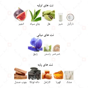 عطر_لطافه_نیش_اماراتی_آنتیک_4_Niche_Emarati_Antique