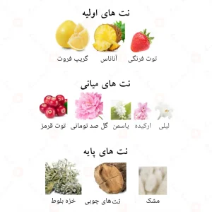 پینک شیمر سکرت الحمبرا Alhambra Pink Shimmer Secret