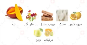 Afnan Al Fakher افنان ال فاخر