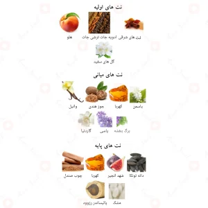 Afnan Al Maqaam افنان ال مقام