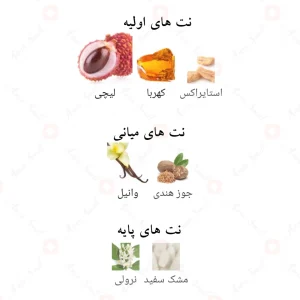 Afnan Hamsa افنان همسا