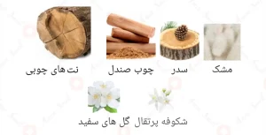 Afnan Kaan Ya Makaan افنان کان یا مکان