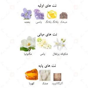 Afnan Lilia افنان لیلیا