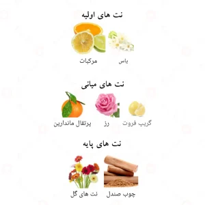 Afnan Nadhra افنان نادرا (ندرا)
