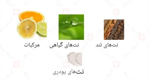 Afnan Naema White 5 افنان نیما وایت