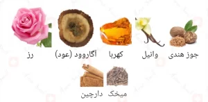 Afnan Precious Oudh افنان پریشس عود