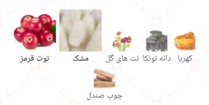 Afnan Rahaal افنان رحال