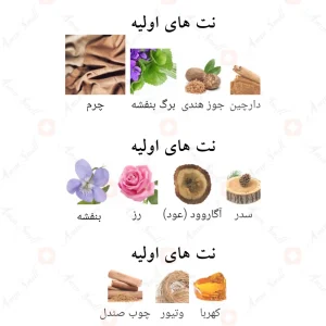 Afnan Rare Carbon افنان ریر کربن