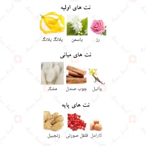 Afnan Rare Tiffany افنان ریر تیفانی