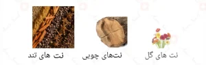 Afnan Reyaam - افنان ریاآم (ریام)