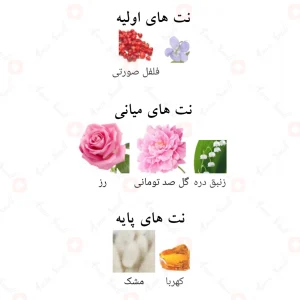 Afnan Supremacy Pink افنان سوپرماسی پینک