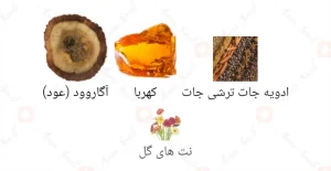 Afnan Supreme Amber افنان سوپریم امبر