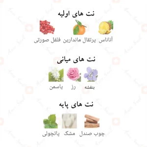 Afnan Tribute Pink افنان تریبوت پینک