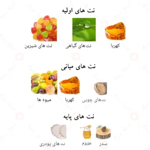 Afnan Zabarjad افنان زبرجد