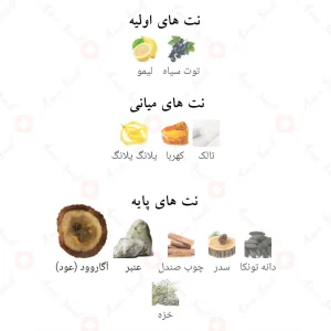 Afnan Zahrat Al Oud 2 افنان زهرات ال عود