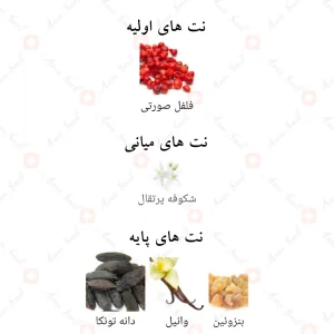 Afnan Arabian Gems افنان عربین جمز زنانه