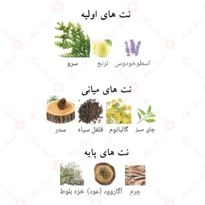Afnan_His_Highness_Green_افنان_هیز_هاینس_گرین