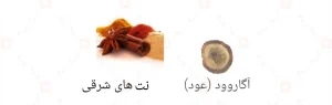Afnan Majestic Oud افنان مجستیک عود (اود)