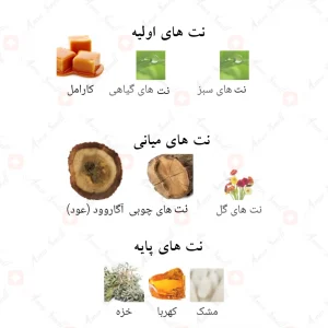 Afnan_Mirsaal_With_Love_افنان_میرسال_ویت_لاو