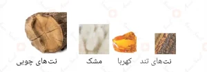 Afnan_Mukhlat_Abiyad_افنان_موخلات_ابیاد_مخلط_ابیض